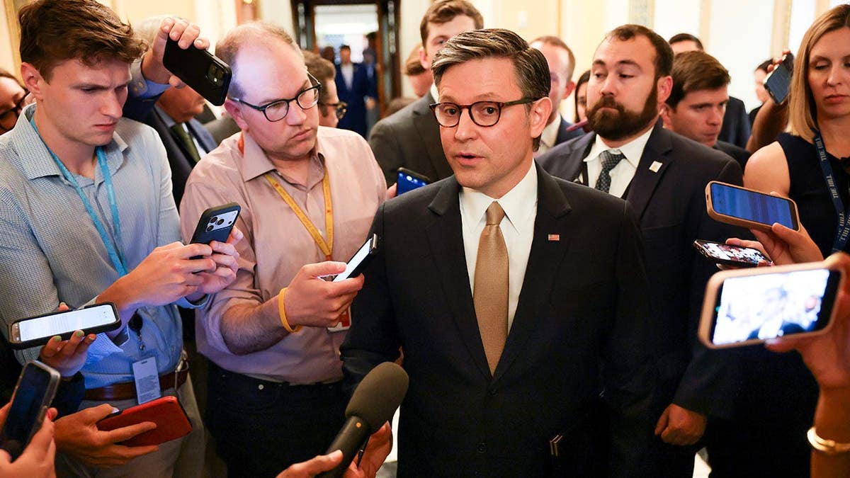 Mike Johnson speaks to reporters outside the House Chambers in Washington, D.C.