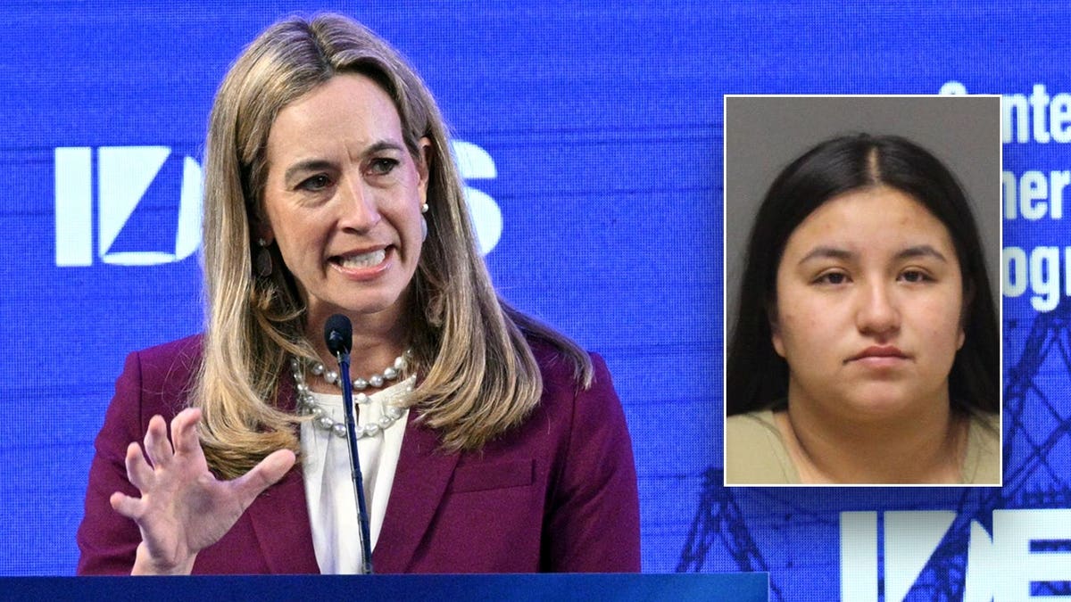 Gov. Mikie Sherrill and illegal immigrant Cobon-Guzman