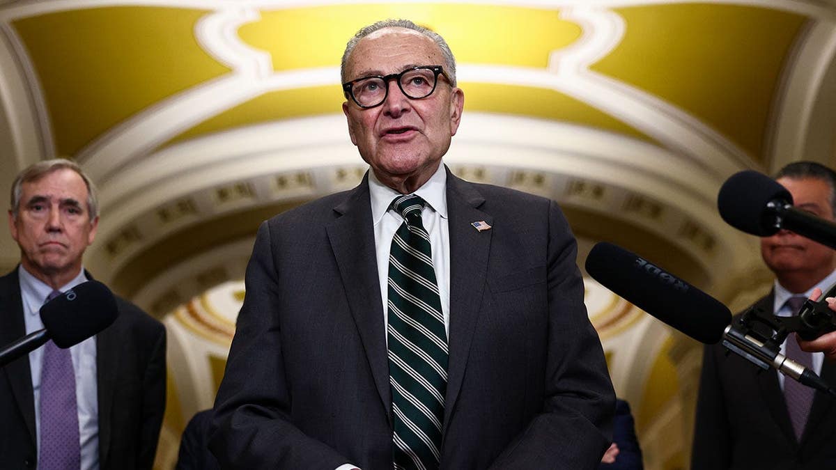 Chuck Schumer speaks at a press conference on Capitol Hill.