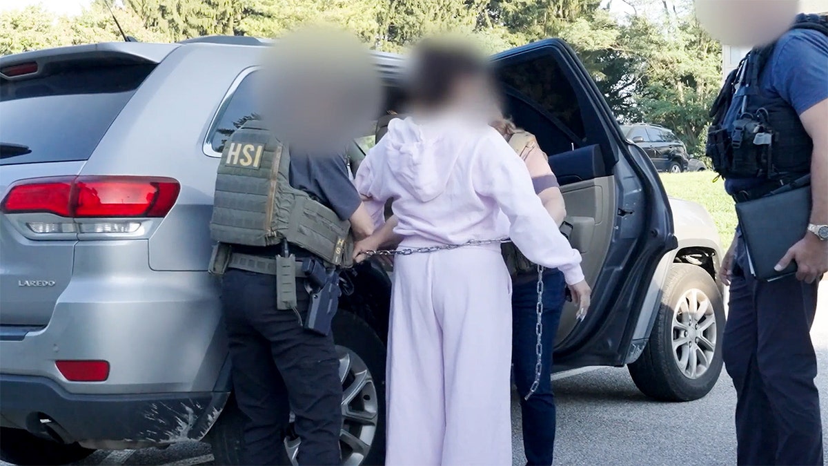 HSI arrest on illegal alien voter