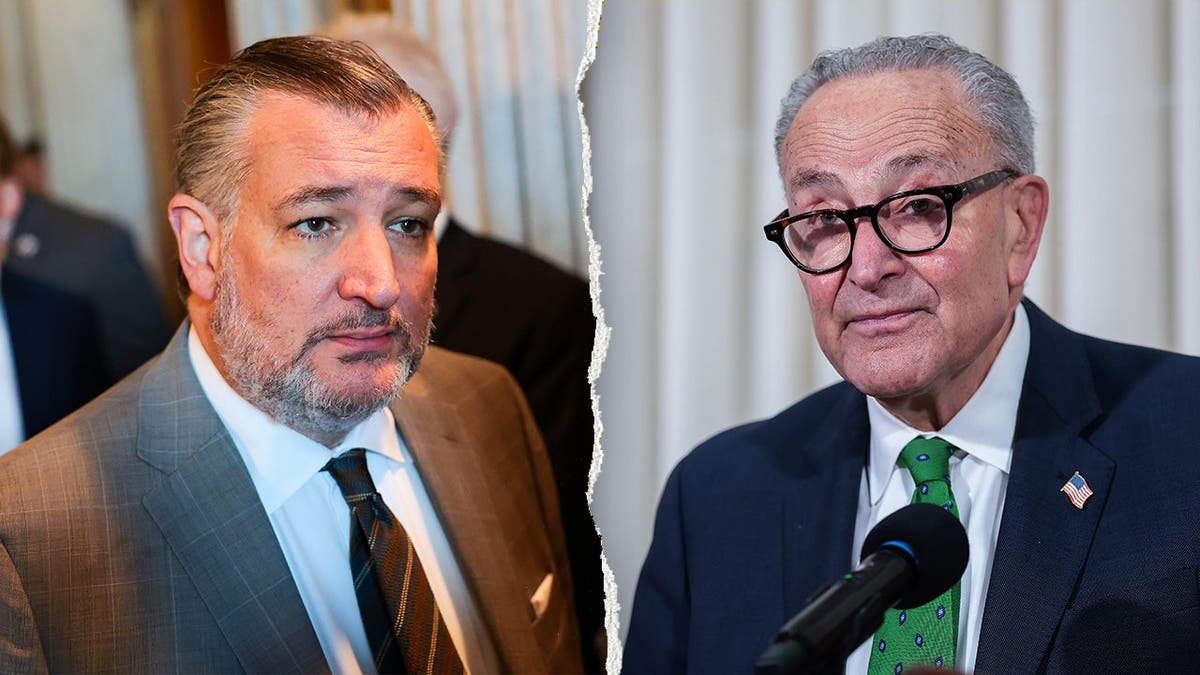 Ted Cruz, left, pictured alongside Chuck Schumer, right.