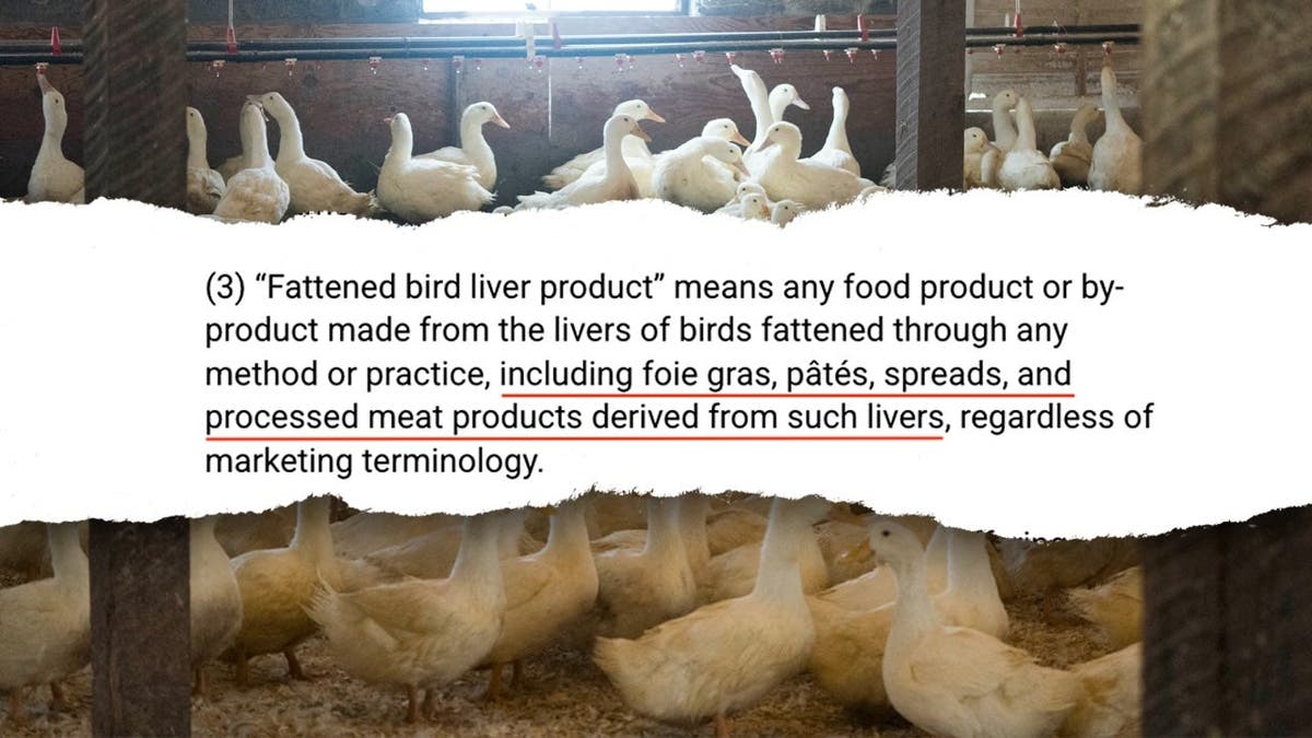 A screenshot of D.C.'s I-86 overlayed into a picture of ducks at a foie gras farm