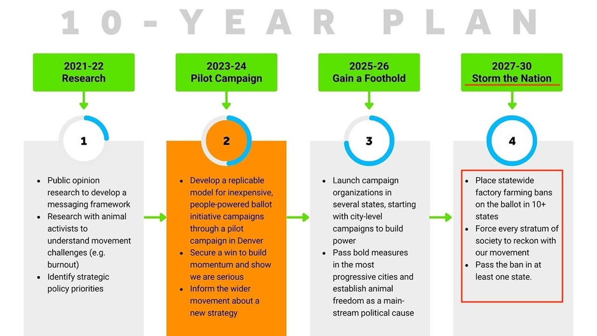A graphic outlining an organization's 10 year plan