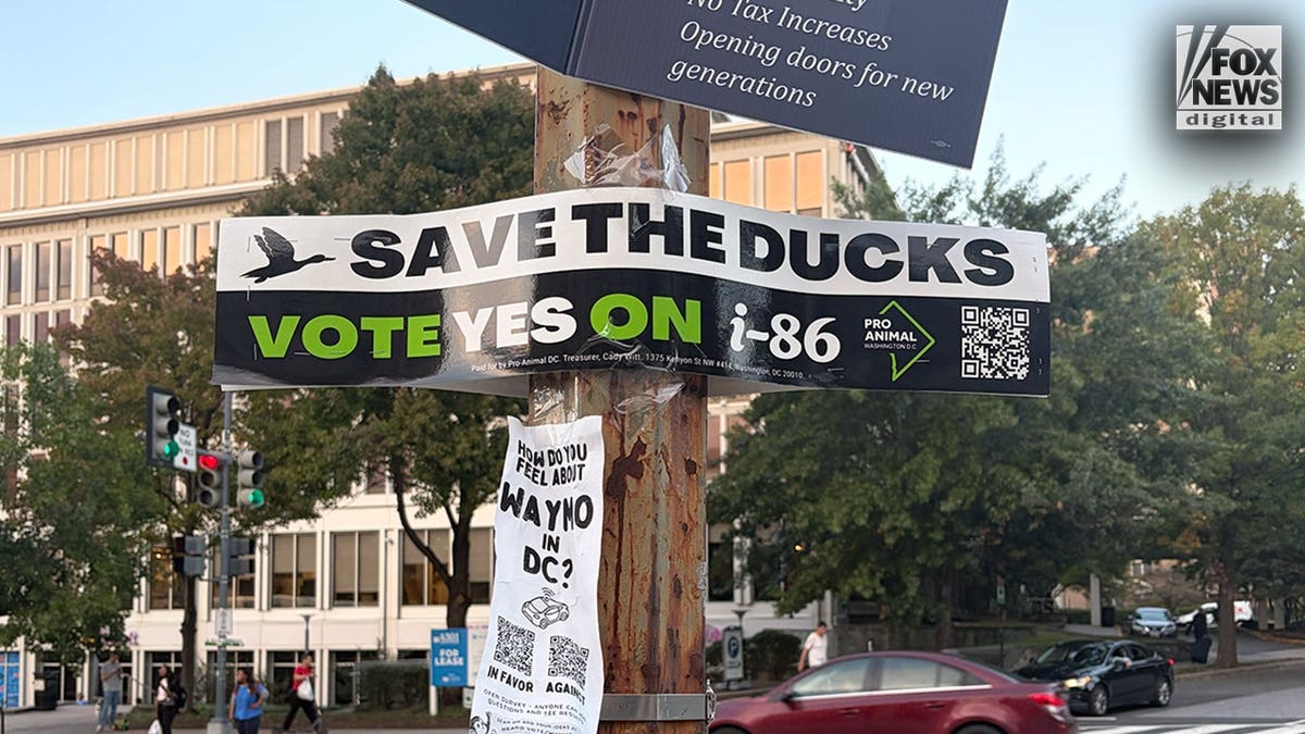 A political sign that asks voters to support the ban on foie gras