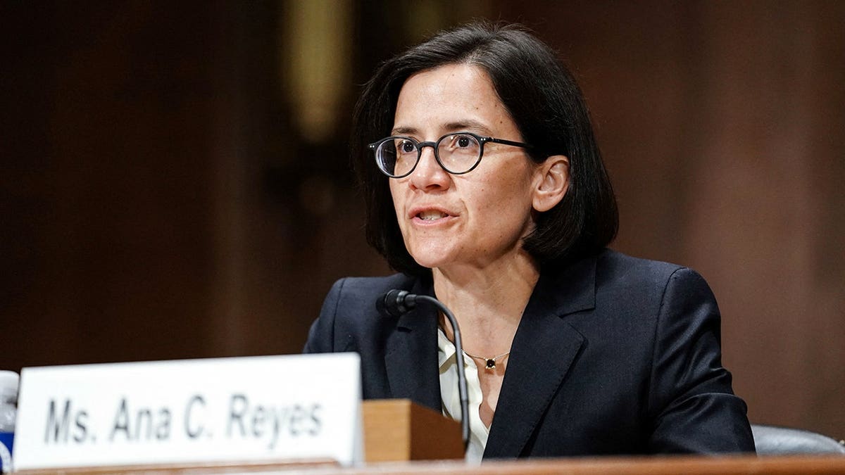 Ana Reyes an anti-Trump judge is shown.