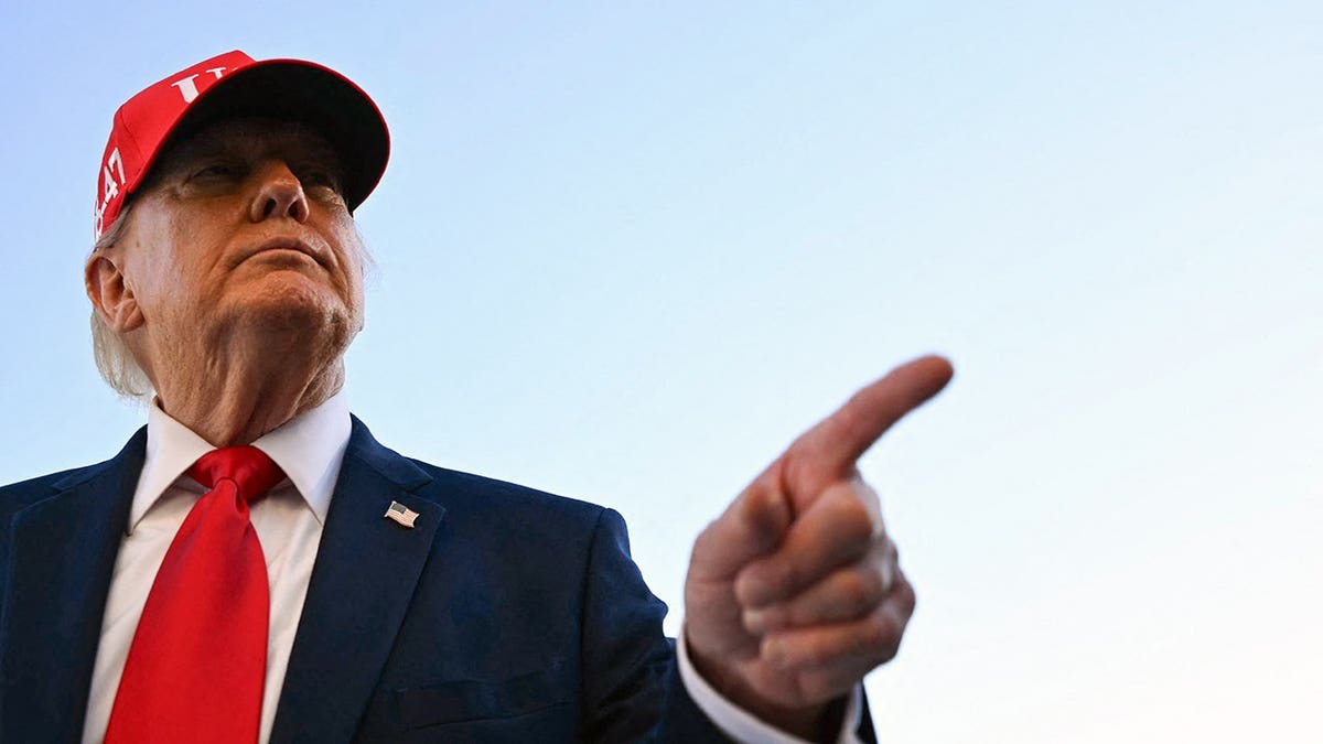 Donald Trump speaks to the press at the White House.