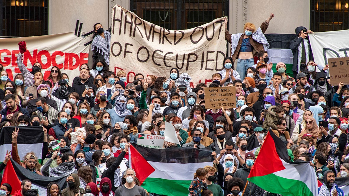Supporters of Palestine at Harvard University