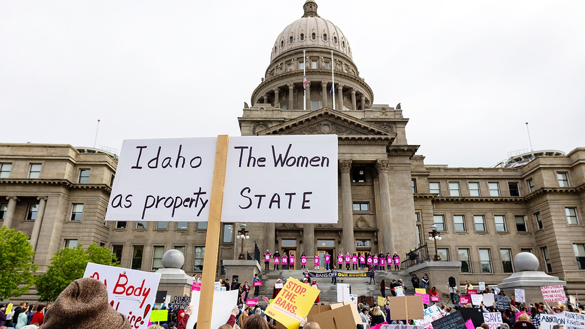 Idaho abortion protestors