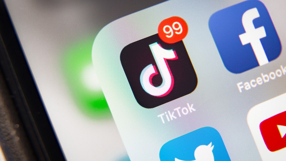 An iPhone screen with the TikTok app.