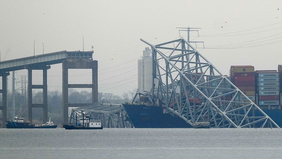 Baltimore bridge collapse response