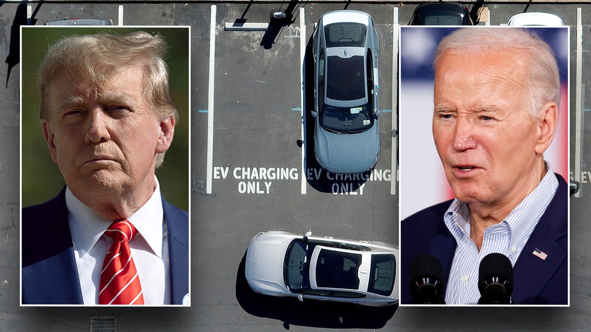 Former President Donald Trump has repeatedly hit President Biden for his policies seeking to force more electric vehicle purchases.