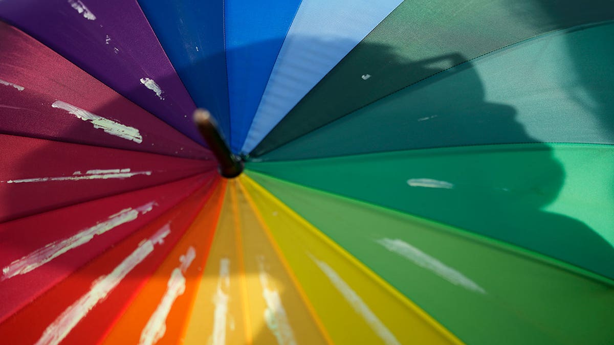 Day of Visibility rainbow umbrella