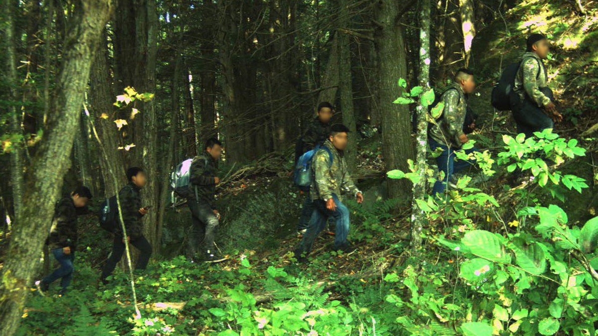 migrants seen in wooded border area