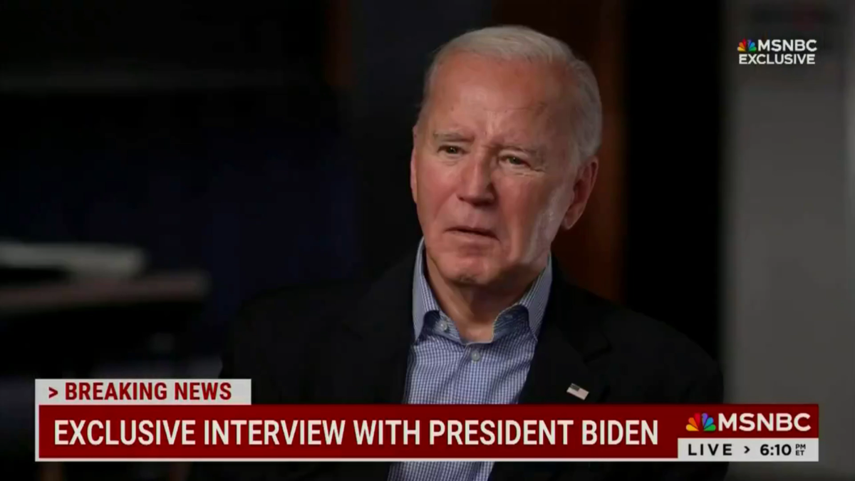 Joe Biden on MSNBC screenshot